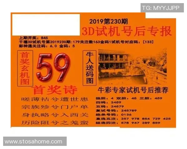 探索3D开机号与试机号金码的奥秘与技巧分享